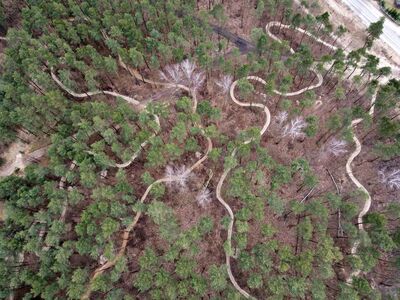 „Przebudowa leśnych naturalnych ścieżek na leśną ścieżkę rowerową typu singletrack w gminie Rz