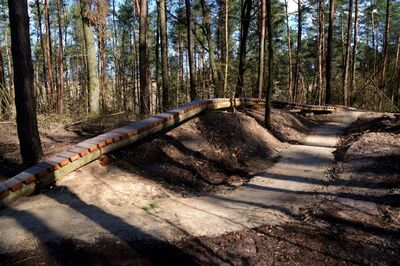„Przebudowa leśnych naturalnych ścieżek na leśną ścieżkę rowerową typu singletrack w gminie Rz