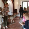  (link otworzy duże zdjęcie)