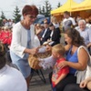  (link otworzy duże zdjęcie)