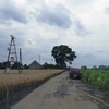  (link otworzy duże zdjęcie)