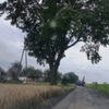  (link otworzy duże zdjęcie)