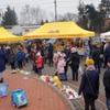  (link otworzy duże zdjęcie)