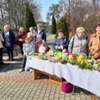  (link otworzy duże zdjęcie)