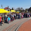 (link otworzy duże zdjęcie)