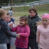  (link otworzy duże zdjęcie)