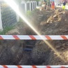  (link otworzy duże zdjęcie)
