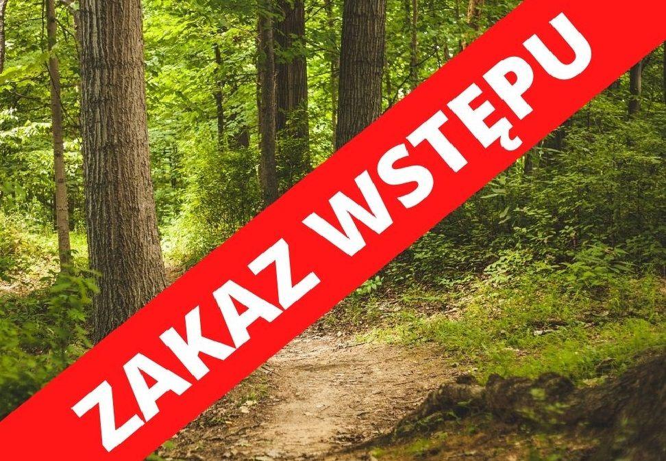 (link otworzy duże zdjęcie)