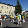  (link otworzy duże zdjęcie)