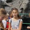  (link otworzy duże zdjęcie)