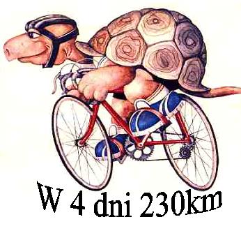 (link otworzy duże zdjęcie)