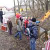  (link otworzy duże zdjęcie)