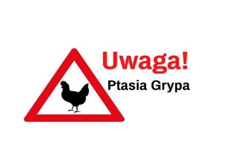(link otworzy duże zdjęcie)