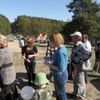  (link otworzy duże zdjęcie)