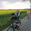  (link otworzy duże zdjęcie)
