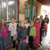  (link otworzy duże zdjęcie)