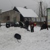  (link otworzy duże zdjęcie)