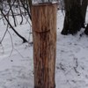  (link otworzy duże zdjęcie)
