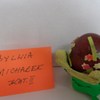 (link otworzy duże zdjęcie)