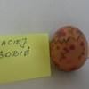  (link otworzy duże zdjęcie)