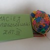  (link otworzy duże zdjęcie)