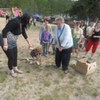  (link otworzy duże zdjęcie)