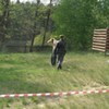  (link otworzy duże zdjęcie)