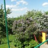  (link otworzy duże zdjęcie)