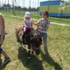  (link otworzy duże zdjęcie)