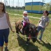  (link otworzy duże zdjęcie)