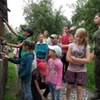  (link otworzy duże zdjęcie)