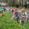  (link otworzy duże zdjęcie)