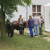  (link otworzy duże zdjęcie)