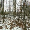  (link otworzy duże zdjęcie)
