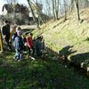  (link otworzy duże zdjęcie)