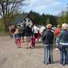  (link otworzy duże zdjęcie)