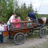  (link otworzy duże zdjęcie)