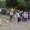  (link otworzy duże zdjęcie)