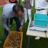  (link otworzy duże zdjęcie)