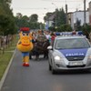  (link otworzy duże zdjęcie)