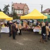  (link otworzy duże zdjęcie)