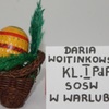 (link otworzy duże zdjęcie)