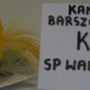  (link otworzy duże zdjęcie)