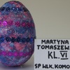  (link otworzy duże zdjęcie)