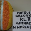  (link otworzy duże zdjęcie)