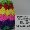  (link otworzy duże zdjęcie)