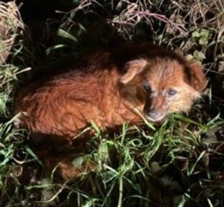 img_20251230_120734.jpg[small]