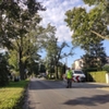 Zdjęcie - prace pielęgnacyjne na ul. Czartoryskich w Gołuchowie