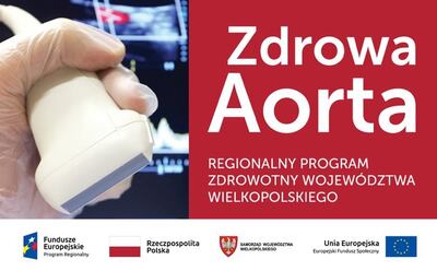 Grafika - Zdowa aorta