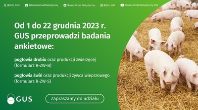 Plakat dot. badania